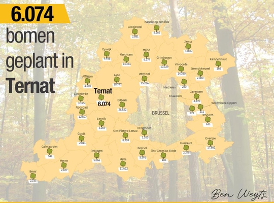 Al meer dan 6.074 bomen geplant in Ternat